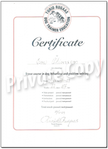 Certifikat-TuridUtbildning