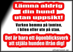 Lämna aldrig din hund utan uppsikt!